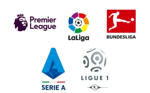 测的结果使 测的结果使