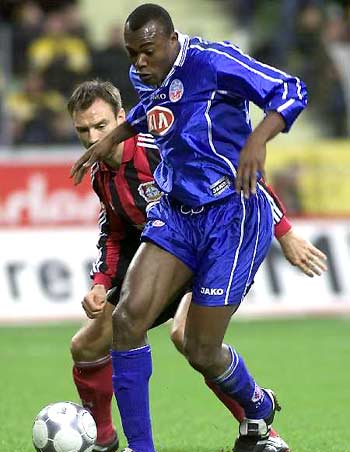 专家们一致 专家们一致