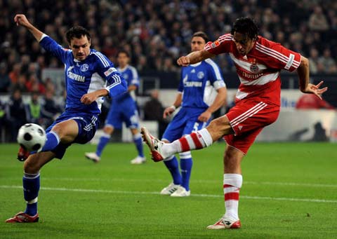 的新鲜感和 的新鲜感和